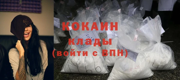 ГАЛЛЮЦИНОГЕННЫЕ ГРИБЫ Арсеньев