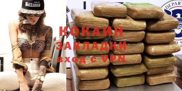 ГАЛЛЮЦИНОГЕННЫЕ ГРИБЫ Арсеньев