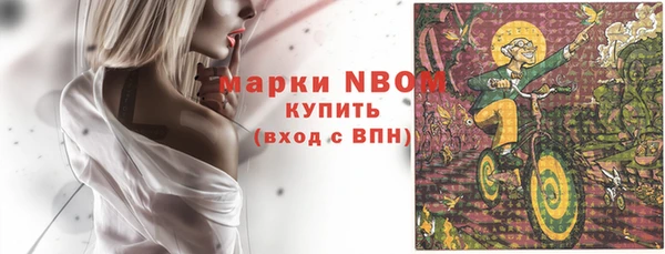ГАЛЛЮЦИНОГЕННЫЕ ГРИБЫ Арсеньев
