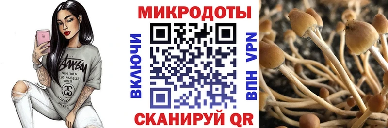Галлюциногенные грибы Psilocybe где найти мега ONION Полярный