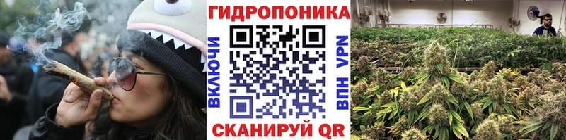 маркетплейс наркотические препараты  Полярный  Каннабис Amnesia  blacksprut ССЫЛКА 